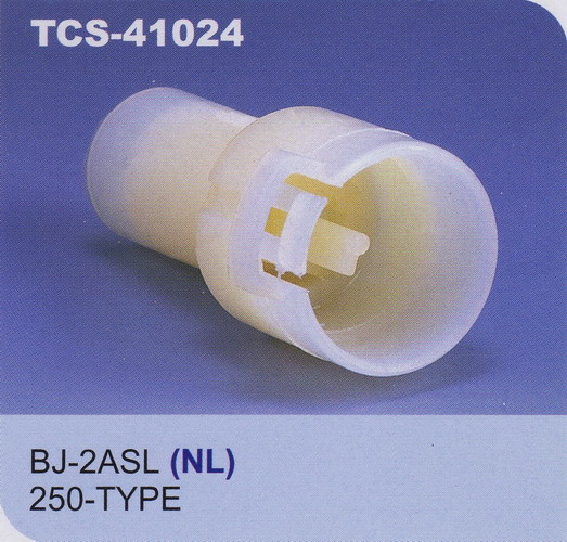 TCS-41024